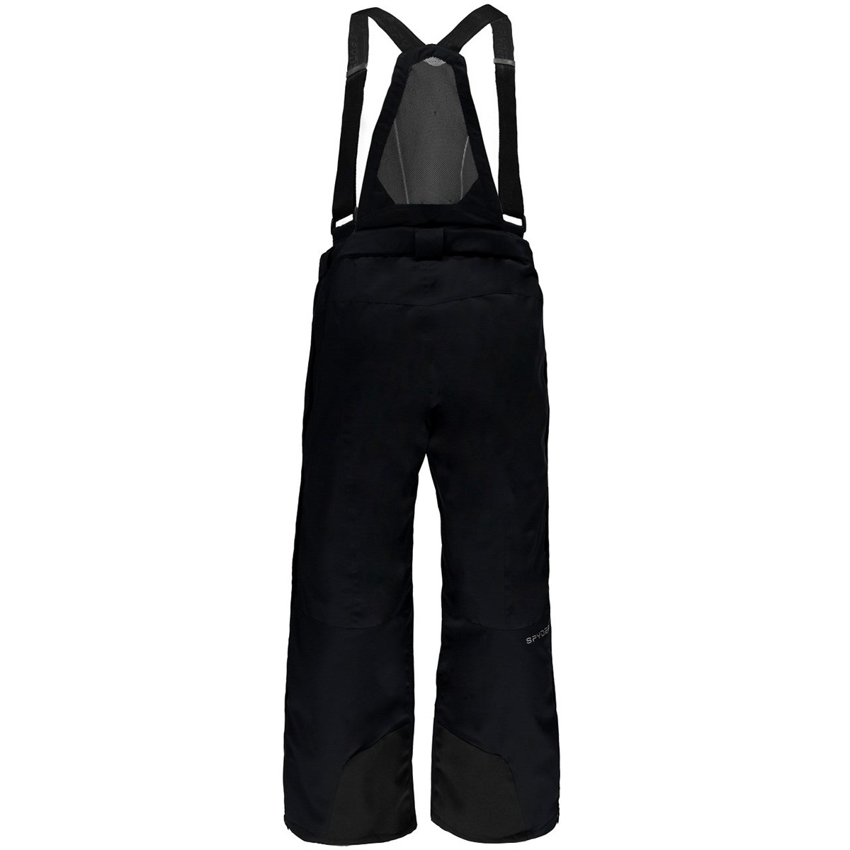 Ski pants Spyder Tarantula Man Ski clothing EN