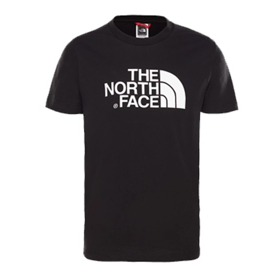 THE NORTH FACE The North Face Easy Tee shirt Homme