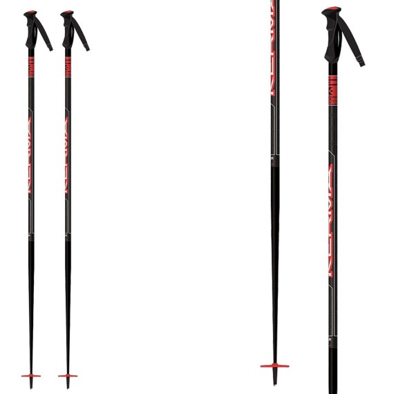 Ski poles Kerma Vector