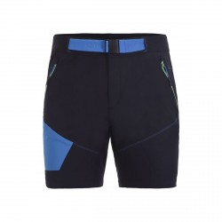 Men's shorts Icepeak Delphos