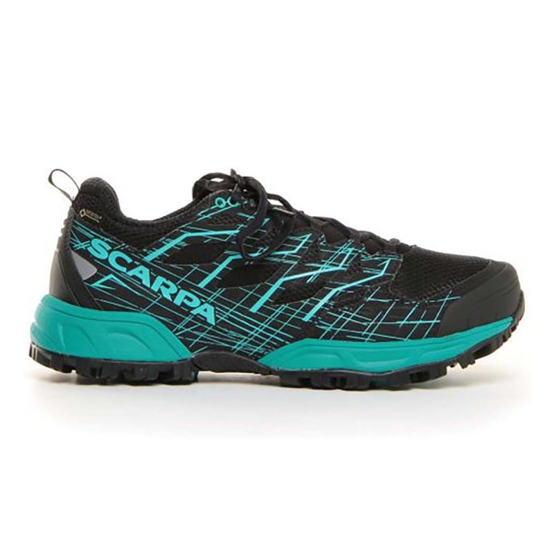 Zapato de running neutron 2 GTX SHOE Trail zapatillas de running