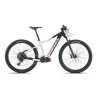 E-Bike Olympia Performer 900 E-bike