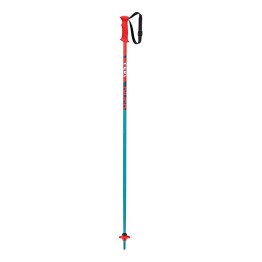 Ski poles Leki Rider Jr