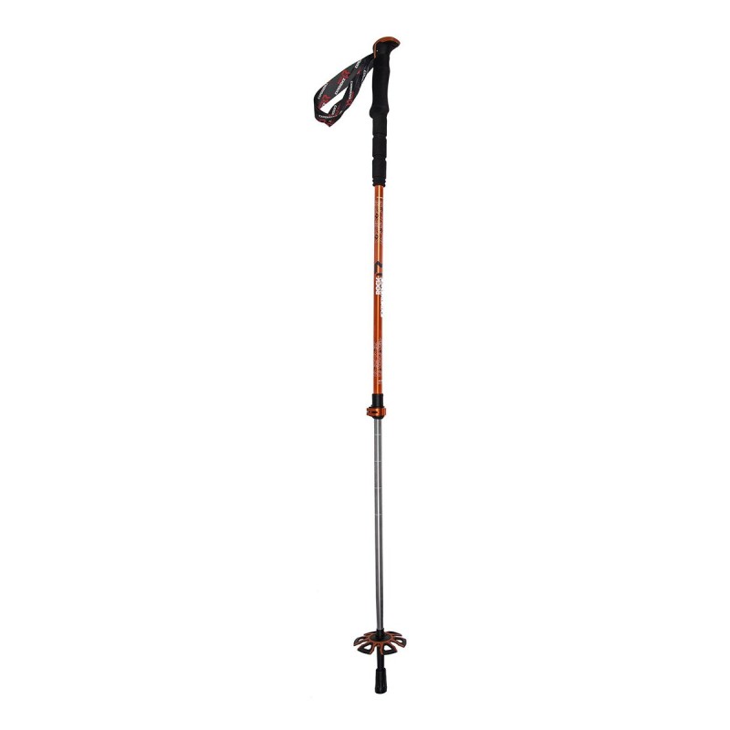 Mountaineering sticks Rock Experience Powder Pole Evo