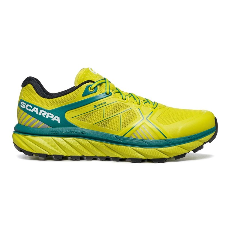 Trail Running Shoe Spin Infinity GTX Shoe EN