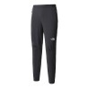 The North Face Athletic Outdoor Pants