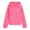 Felpa Tommy Hilfiger NYC Logo