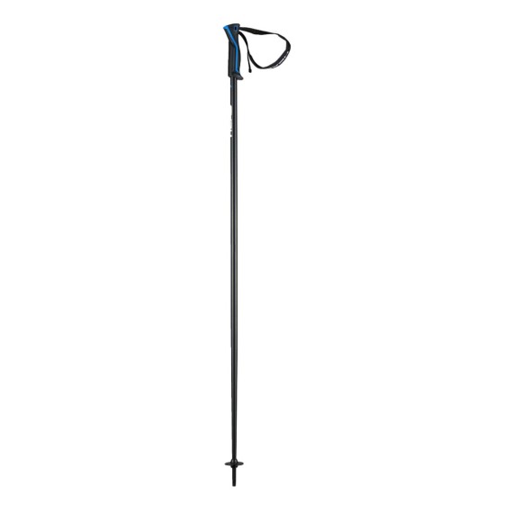 Head Frontside ski poles