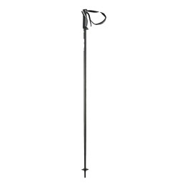 Head Frontside ski poles