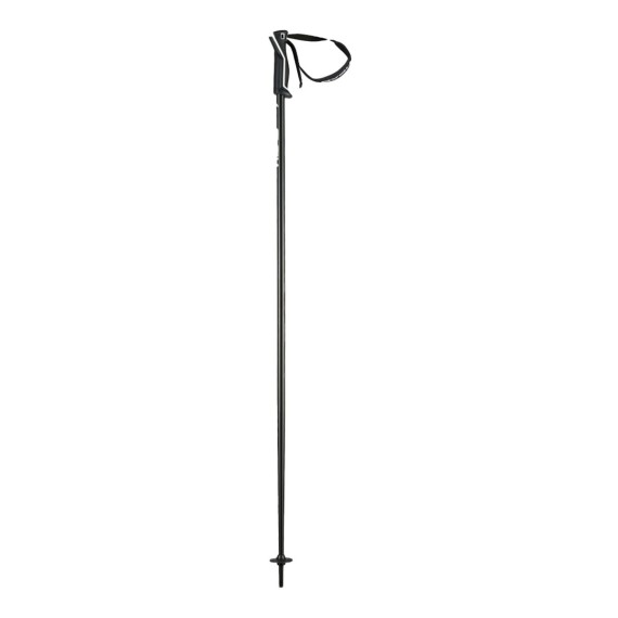 Head Frontside ski poles