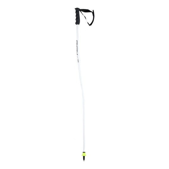 Ski poles Head Worldcup SG