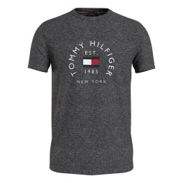 Camiseta Tommy Hilfiger Flag Arch