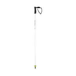 Ski poles Head Worldcup SL