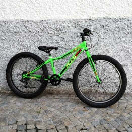 Bicicletta Dino Bikes Plus 24