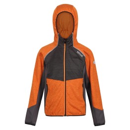 Régate Softshell Prenton