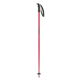 Ski poles Atomic AMT