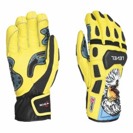 Ski gloves Level SQ CF