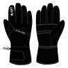 Ski gloves Ast