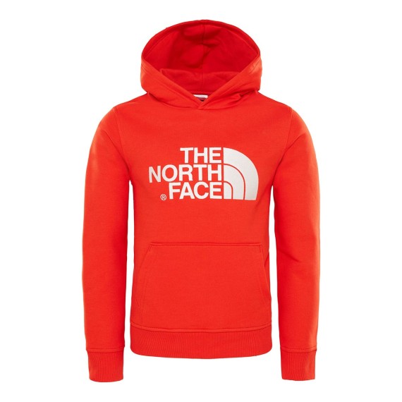 Felpa The North Face Drew Peak da uomo Felpa The North Face Drew Peak da uomo