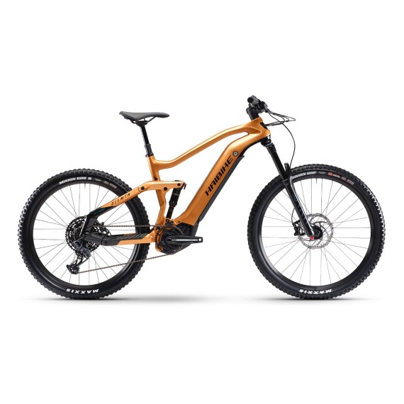 E-Bike Haibike AllMtn CF6 E-bike