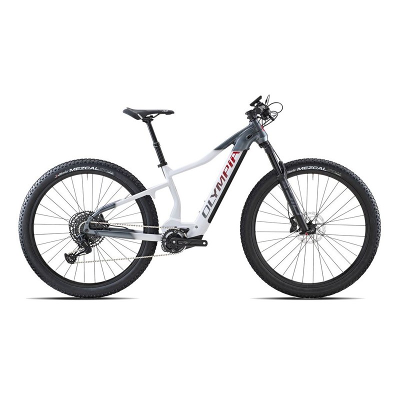 E-Mtb Olympia Performer 900 Sport