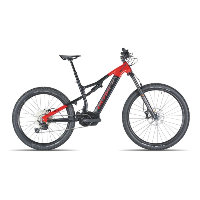 E-Bike Olympia EX 900