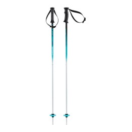  Head Supershape Team ski poles