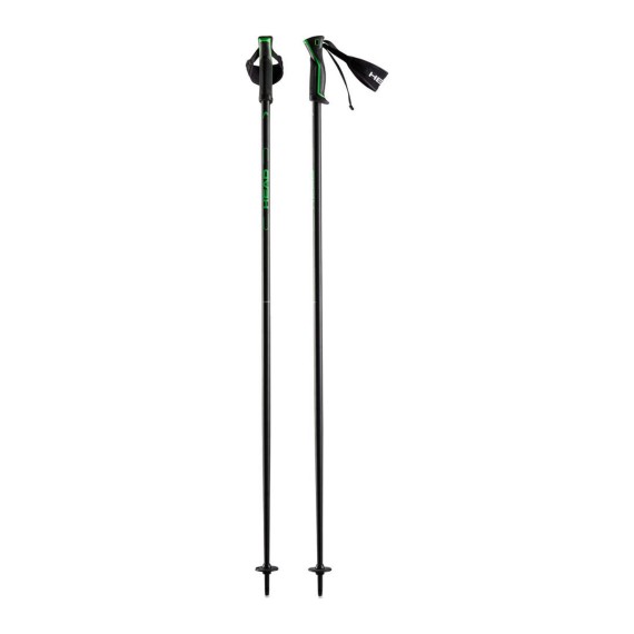 HEAD Head Frontside Performance ski poles