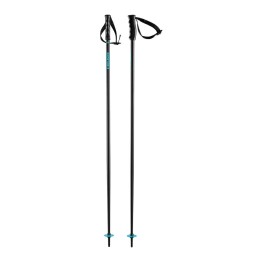 HEAD Head Multi Black Speed Blue ski poles