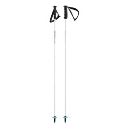  Head Worldcup Rebels Carbon Race ski poles