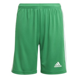  Pantalones cortos Adidas Squadra 21 Jr Tea Green