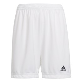  Adidas Entrada 22 Jr White Shorts