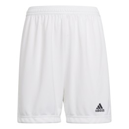 ADIDAS Pantalones cortos Adidas Entrada 22 Jr White