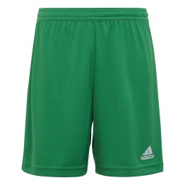 ADIDAS Short Adidas Entrada 22 Jr Tea Green