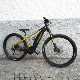  E-Bike Bergamont E Revox 4