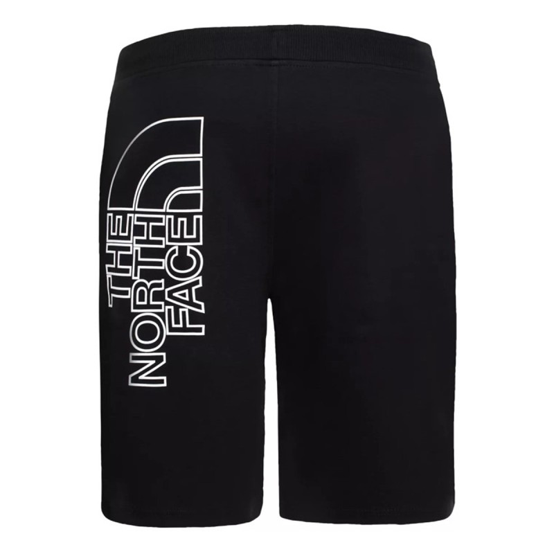 THE NORTH FACE The North Face Graphic Shorts