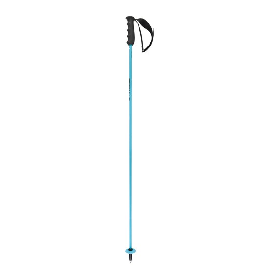 HEAD Head WC Rebels Carbon Ski Poles HEAD Head WC Rebels Carbon Ski Poles