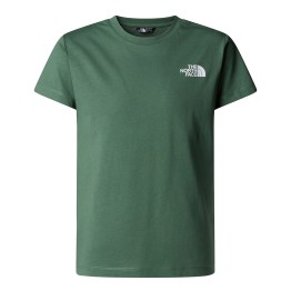 THE NORTH FACE T-shirt The North Redbox Half Dome