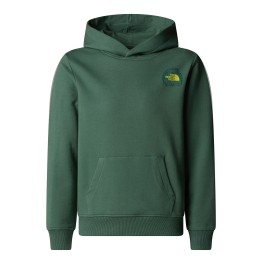 THE NORTH FACE Sweat à capuche The North Face Graphic Relaxed Boy