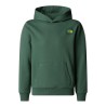 THE NORTH FACE Sudadera con capucha The North Face Graphic Relaxed Boy