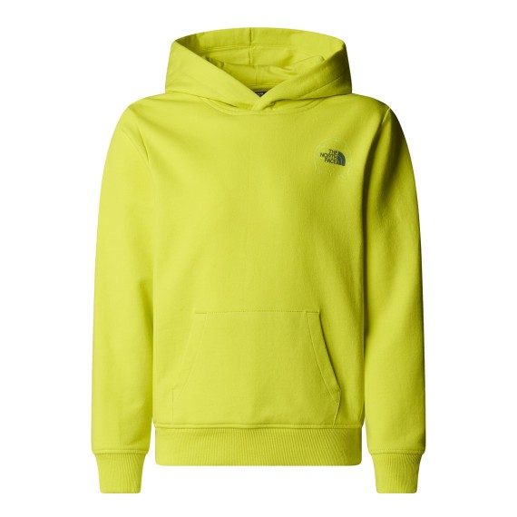 THE NORTH FACE Felpa con cappuccio The North Face Graphic Relaxed Boy