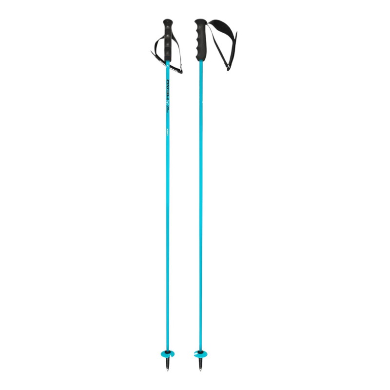 HEAD Head WC Rebels Carbon Ski Poles
