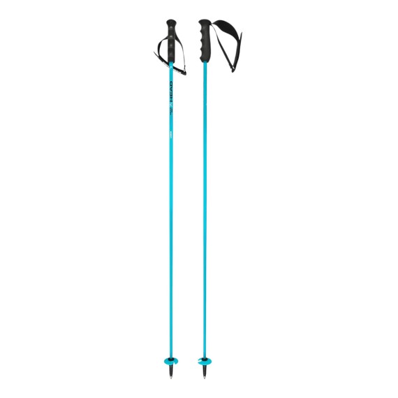 HEAD Head WC Rebels Carbon Ski Poles