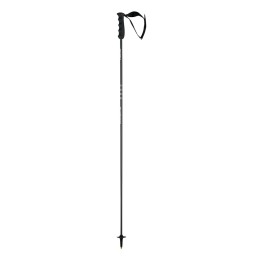 HEAD Head Porsche Carbon Performance Ski Poles