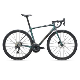 Bicicletta Giant TCR Advanced Pro Disc Mountain bike