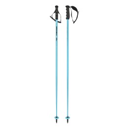 HEAD Head WorldCup SL Ski Poles