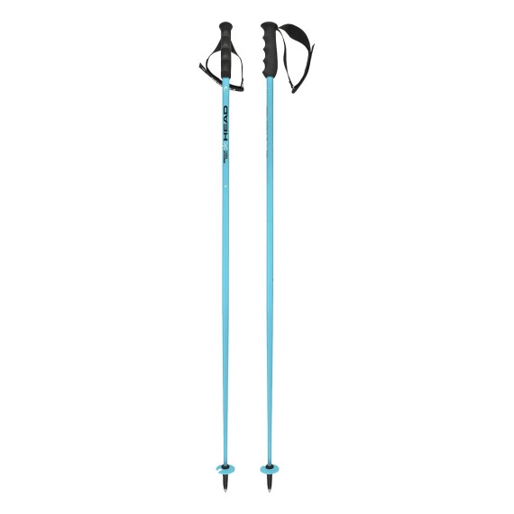 HEAD Head WorldCup SL Ski Poles