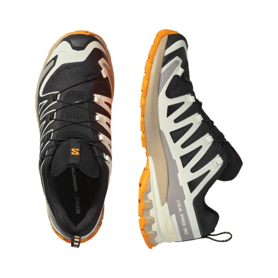 SALOMON Chaussures de trail running XA Pro 3D V9 GTX