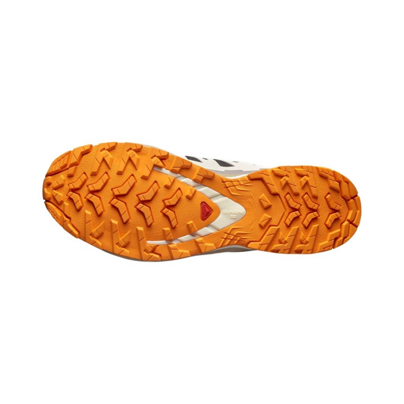 SALOMON Chaussures de trail running XA Pro 3D V9 GTX
