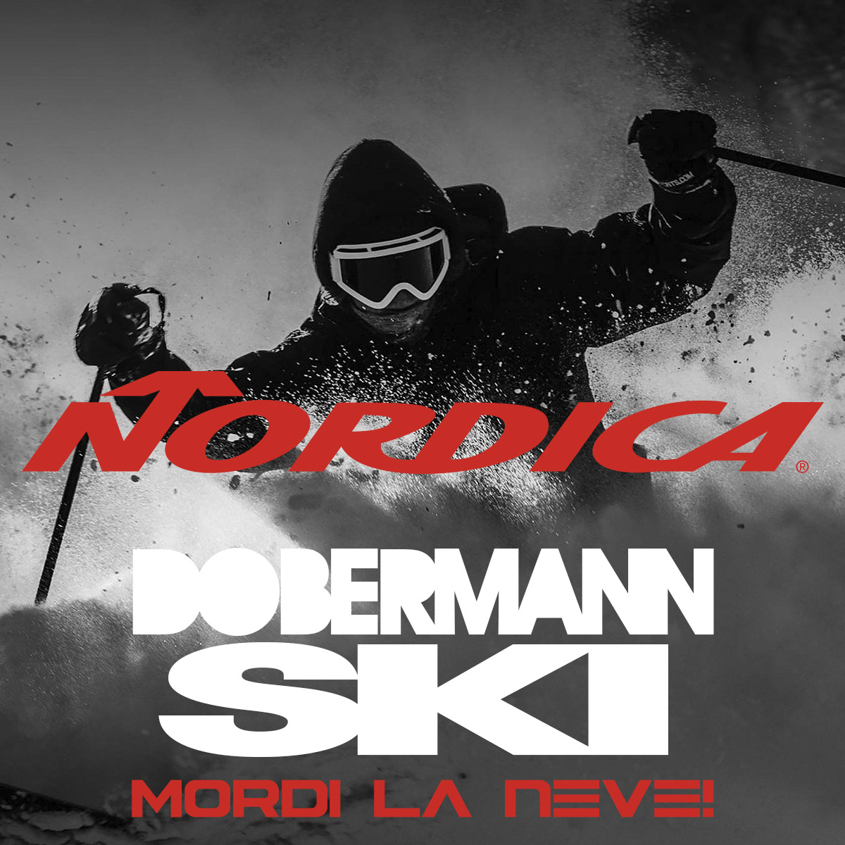 sci Nordica offerta